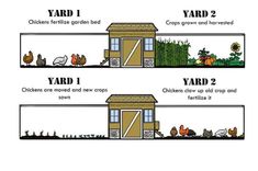 the diagram shows how to build a chicken coop in your yard and garden area for chickens