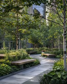 an empty park with benches and plants in the foreground, surrounded by tall buildings