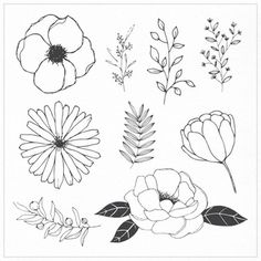 flowers and leaves are drawn in black ink on white paper, with the words wildflowers