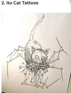 a drawing of a spider with a cat on it's back and eyes open