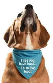 a dog wearing a blue bandana with the words i see you have food on it