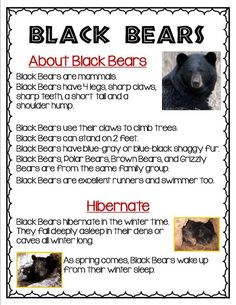 a black bear's information sheet with pictures of bears and their names on it