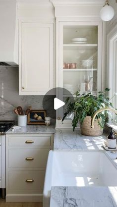 a kitchen with marble counter tops and white cabinets, along with a large potted plant