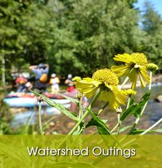 yellow flowers in the foreground with people on rafts in the background and text, watershed outings