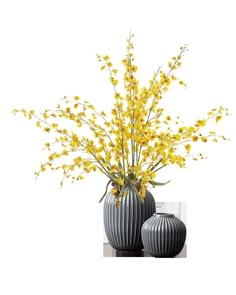 two vases with yellow flowers in them sitting next to each other on a white background