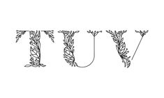 the word joy written in cursive type with leaves and branches on it, surrounded by smaller letters