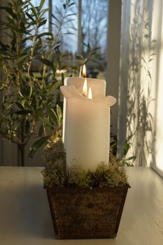 two white candles sitting on top of a wooden table next to a potted plant