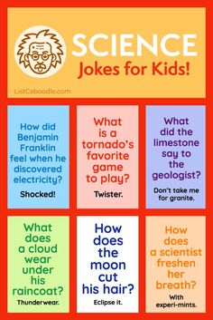 Children Jokes Funny For Kids, Jokes For First Graders, Kid Jokes Funny Hilarious, Kids Jokes Funny Hilarious, Kid Jokes Funny, Funny Kid Jokes, Kids Jokes Funny, Lunchbox Jokes For Kids, Clean Jokes For Kids