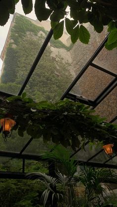 the inside of a glass house with plants growing in it