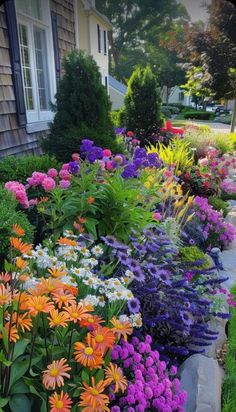 an assortment of colorful flowers in front of a house