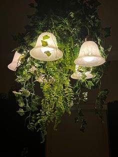 three white lamps hanging from a ceiling covered in green plants