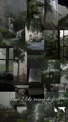 a collage of photos with trees and water in them, including the words but i like rainy days