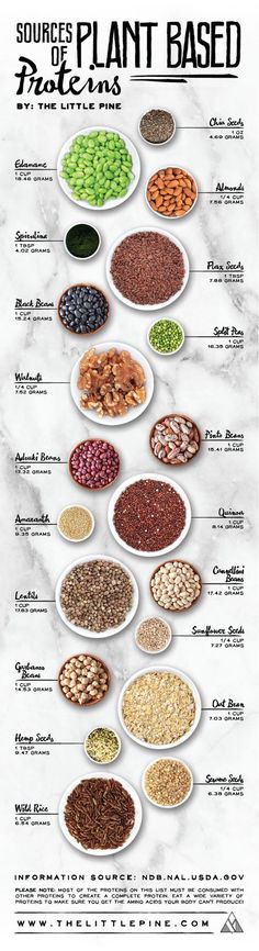 Say what?! There's protein in nuts, seeds, beans and grains? You betcha! And we've got a whole list of sources to share with you! Proteins Chart, Natural Meals, Plant Based Foods, Plant Based Protein Sources, Makanan Diet, Wild Rice, Diet Keto