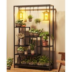 a shelf filled with potted plants next to a wall mounted planter and light