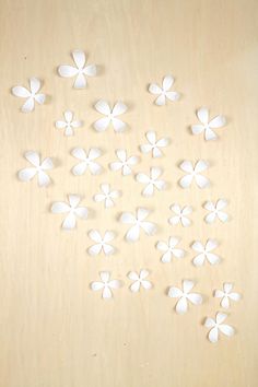 white paper flowers arranged on a wooden surface