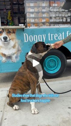 the dog is getting ready to take his owner's food out of the truck