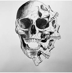 a black and white drawing of a human skull