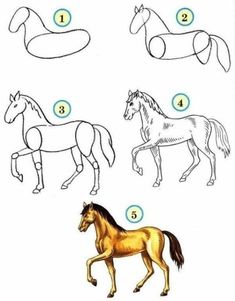 how to draw a horse step by step instructions for kids and beginners with pictures