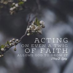 the quote acting on even a twig of faith allows god to grow it through life