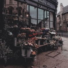 a flower shop with lots of flowers in front of the window and potted plants outside