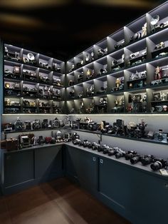 Camera Collection on shelves Camera Lens Storage, Camera Display Ideas, Camera Equipment Storage, Camera Shelf, Camera Gear Storage, Camera Gear Organization, Vintage Prom Dresses, Camera Display, Camera Wall