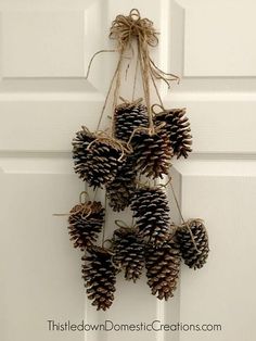 some pine cones are hanging on the front door