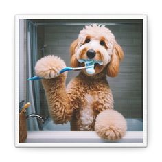 a dog sitting in a bathtub with a toothbrush in it's mouth