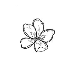 a black and white drawing of a flower