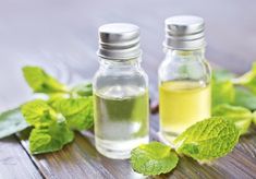 How to Make Peppermint Essential Oil | eHow Homemade Essential Oils, Making Essential Oils, Mint Oil, Ginger Essential Oil, Diy Essentials, Vanilla Essential Oil, Peppermint Leaves, Infused Oils, Aromatic Herbs