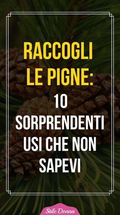 a pine cone with the words raccooli le pigne 10 sorprenenti usi che non sapev