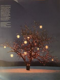 a lighted tree in the middle of a snowy field with stars on it's branches