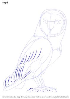 how to draw an owl sitting on the ground step by step drawing instructions for kids