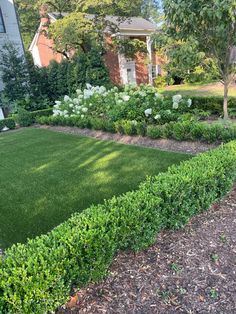 a lush green lawn surrounded by bushes and trees