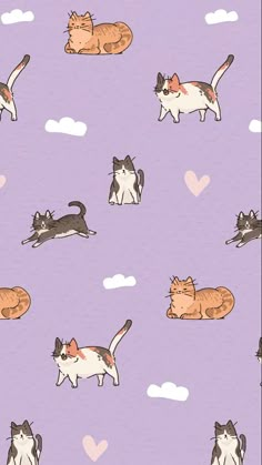 cats and clouds on a purple background with hearts