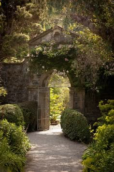 an archway in the middle of a garden