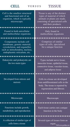 the differences between cell and tissue