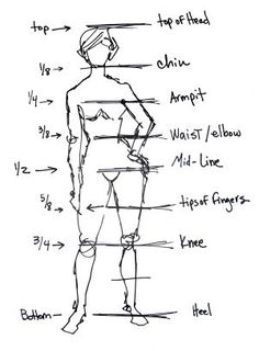 a drawing of a woman's body and the parts labeled in it, including her measurements