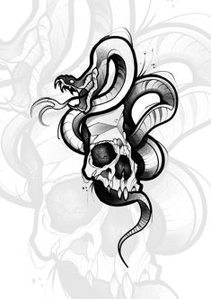 a skull with a snake on it's head