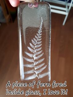 a piece of glass with a fern etched on it that says, a piece of fern fried inside glass i love it