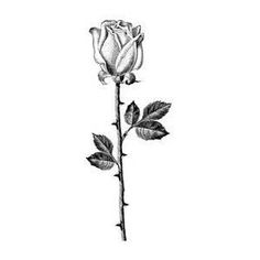 a black and white drawing of a single rose