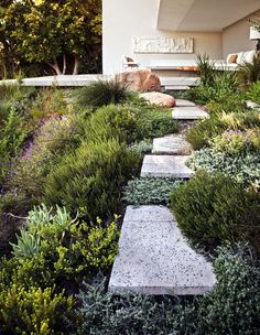 an image of a garden with rocks and plants