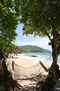 a hammock on the beach between two trees