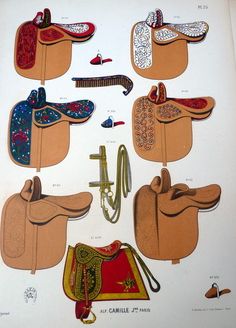 an image of horse saddles and bridles