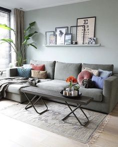 a living room filled with furniture and a large plant on top of a coffee table