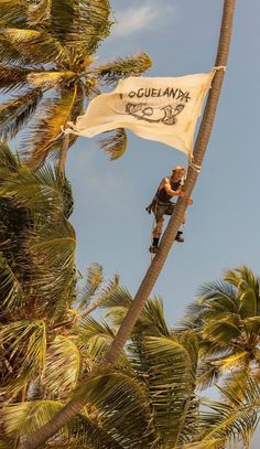 a man climbing up the side of a palm tree on top of a white flag