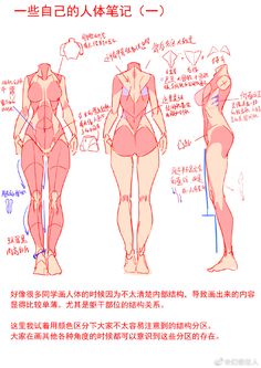 an image of a woman's body in different positions and sizes, including the lower half