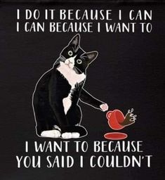 a black and white cat holding an apple with the caption, i do it because i can because i want to