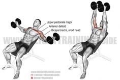 an image of a man doing the back press up with dumbbells on his chest