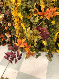 the wall is covered with many different types of leaves and flowers, including oranges, yellows, and red