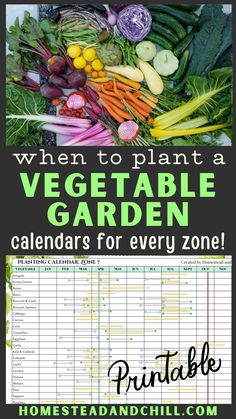 a garden calendar with vegetables and the words when to plant a vegetable garden calendar for every zone